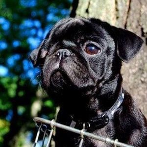 Meet your Posher, Tim